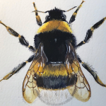 A Bee, painted by Russ Holt