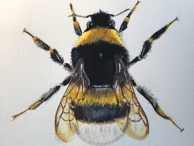 A Bee, painted by Russ Holt
